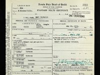 Matt Costello Death Certificate