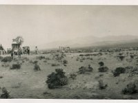 5  “Nyala Post Office, Nevada, Midland Trail, 1917.” University of Michigan Library Digital Collections.
