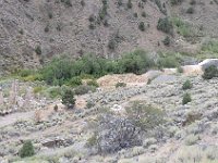 ophir01  Panorama of mill site