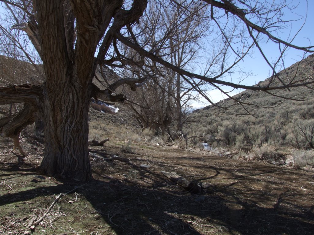 lookingsouthdownspringcitycreekcanyon.jpg